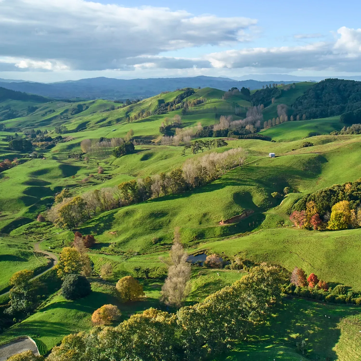 Open Queensland savanna with watercourses and scattered eucalypts