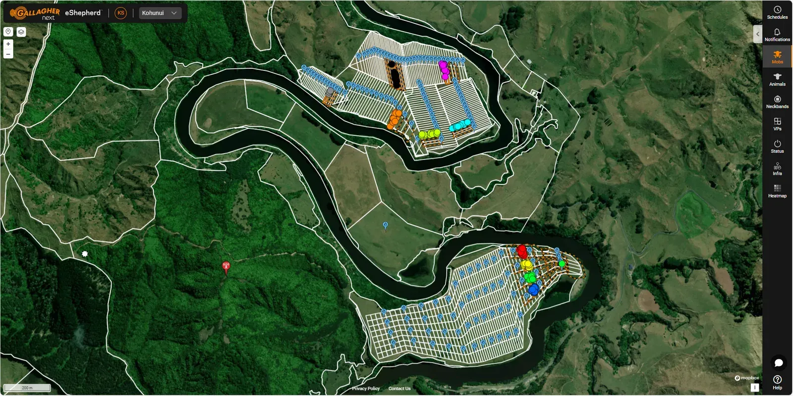 eShepherd web-app screenshot showing 120 grazing cells across the Kohunui block