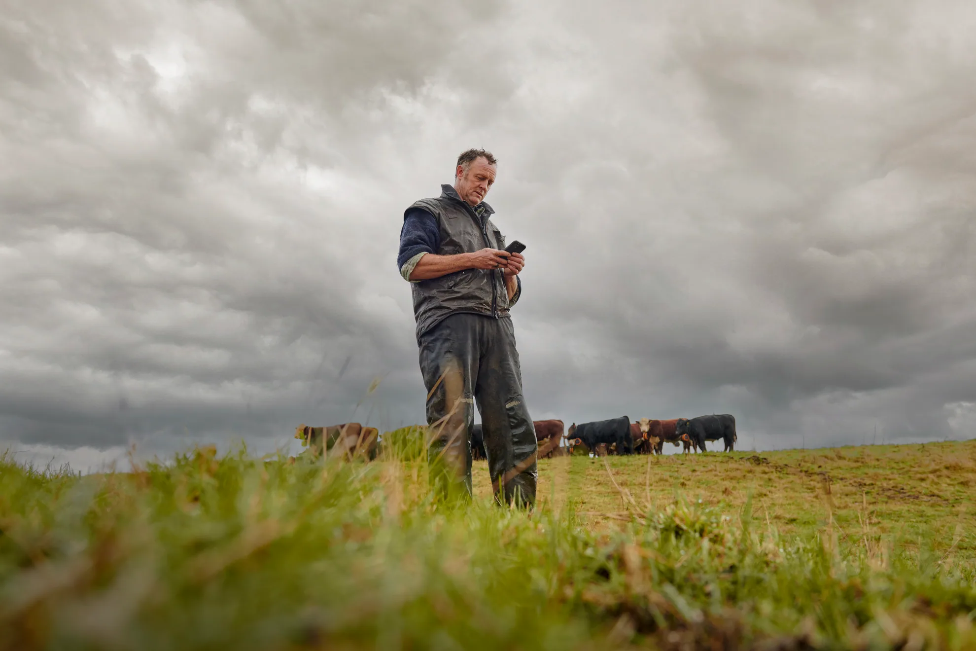 Hill country · Hawkes Bay, NZ