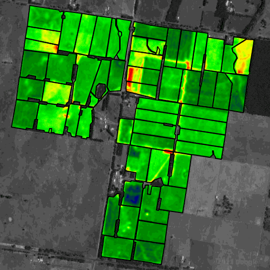 Satellite imagery overlay showing pasture biomass